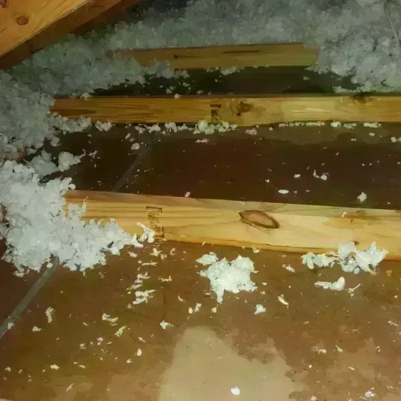 Attic Water Damage in SeaTac, WA