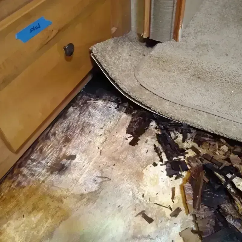 Wood Floor Water Damage in SeaTac, WA